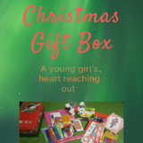 The Christmas gift box