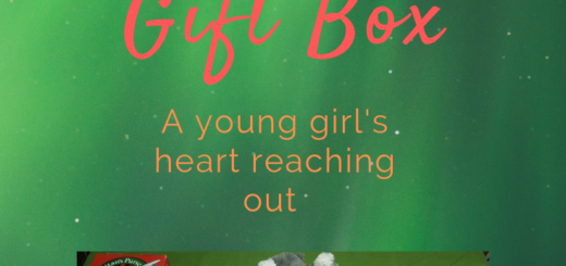 The Christmas gift box